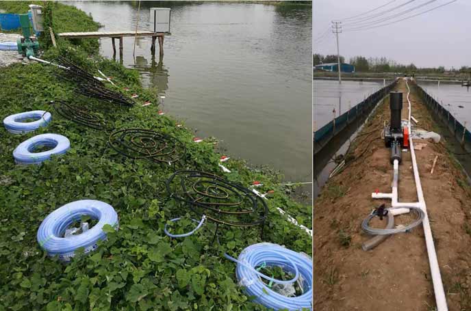 水产养殖罗茨香蕉视频一级片大全