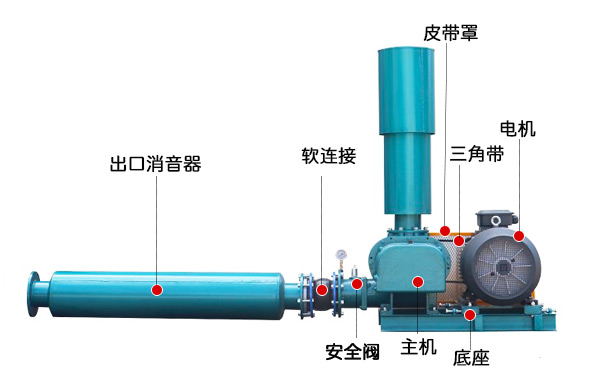 三叶罗茨鼓香蕉视频一级片大全(图3)