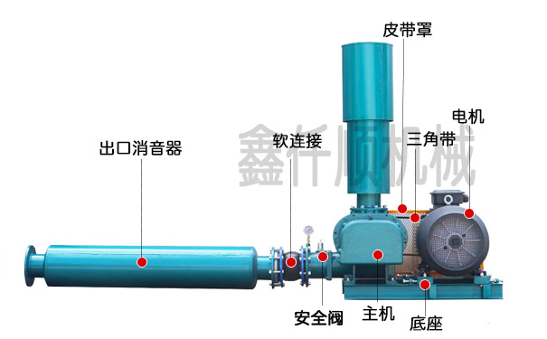 罗茨香蕉视频一级片大全安装图