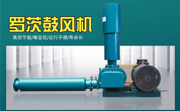 罗茨鼓香蕉视频一级片大全 罗茨鼓香蕉视频一级片大全