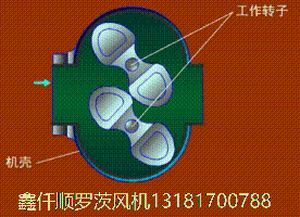 罗茨香蕉视频一级片大全工作原理