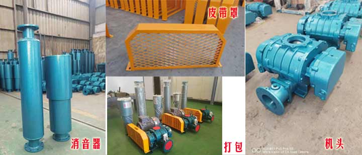 三叶罗茨香蕉视频一级片大全（皮带型）实拍