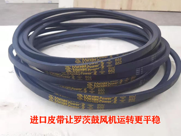 罗茨鼓香蕉视频一级片大全皮带