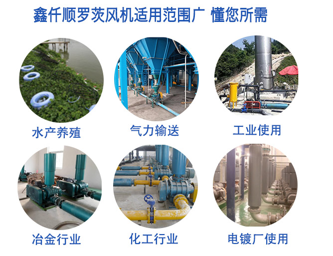 污水处理曝气罗茨香蕉视频一级片大全适用范围广