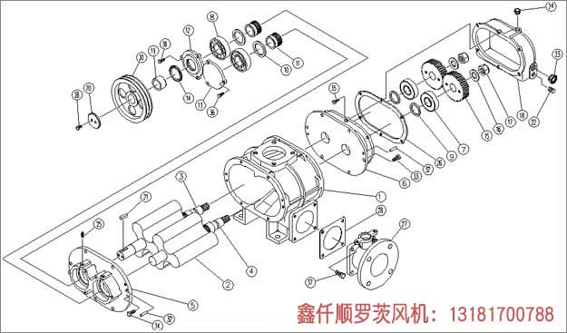 三叶罗茨鼓香蕉视频一级片大全安装示意图