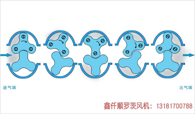 罗茨香蕉视频一级片大全工作原理