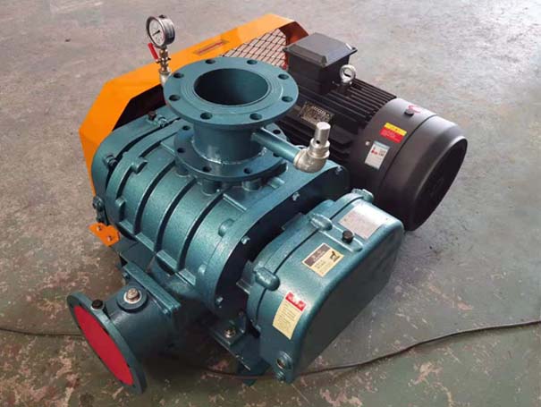 罗茨香蕉视频一级片大全厂家发货江西罗茨真空泵XQSSR125v5台(图1)