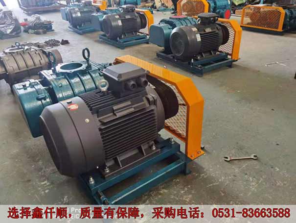 发货广西高压罗茨鼓香蕉视频一级片大全XQSSR15030KW6台(图2)